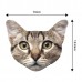 Fun Cat Microfibre Cloth